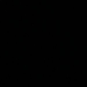 Meet your Posher, Itzel